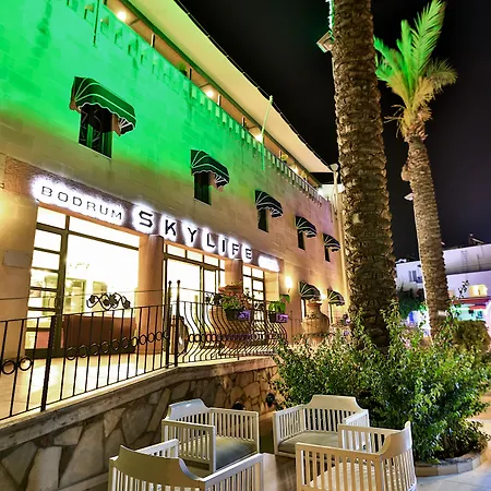 Skylife Hotell 4*